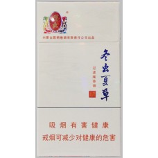Cordyceps sinensis (Herun)